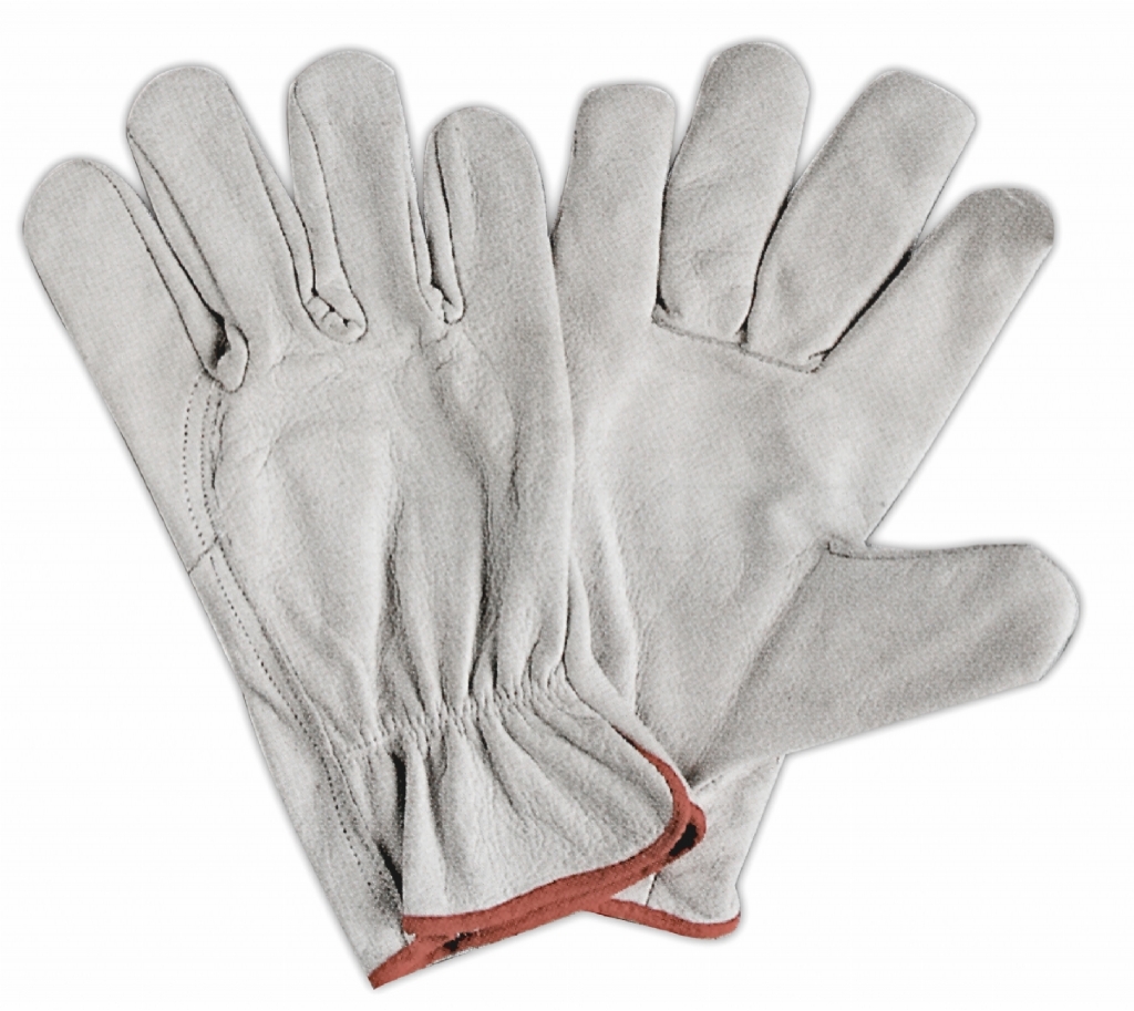 Argon Gloves - AK/L027 - Click Image to Close