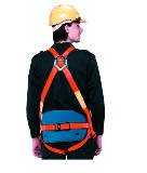 Full Body Harness With Eco Belt PG141060-EB