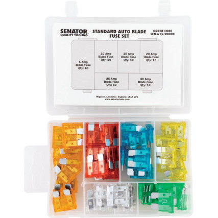 60 PCE STANDARD AUTO BLADE FUSE SET