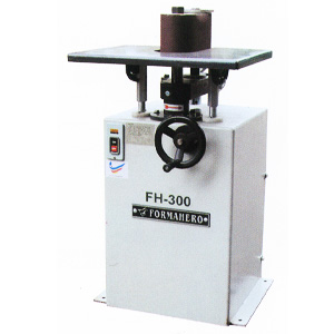 FH-300 VERTICAL SPONGE SANDER