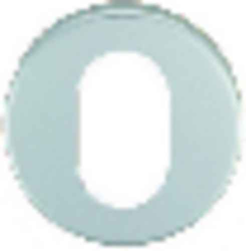 ALUMINIUM OVAL PROFILE ESCUTCHEON