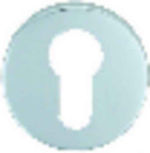 STAINLESS STEEL EURO PROFILE ESCUTCHEON