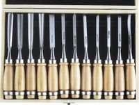 12-PCE WOOD CARVING TOOLSET